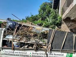 Best Moving and Downsizing Cleanouts  in Big Rock, IL